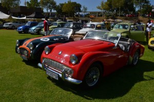 Classic Car Show 3 March 2013